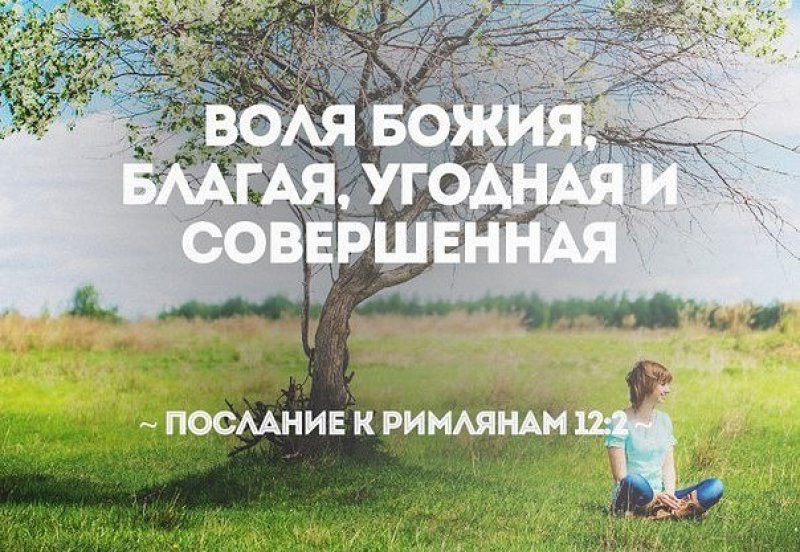 На радиостанции Радонеж в эфир вышла вторая часть беседы протоиерея Сергия Звонарёва на тему «О воле Божией»