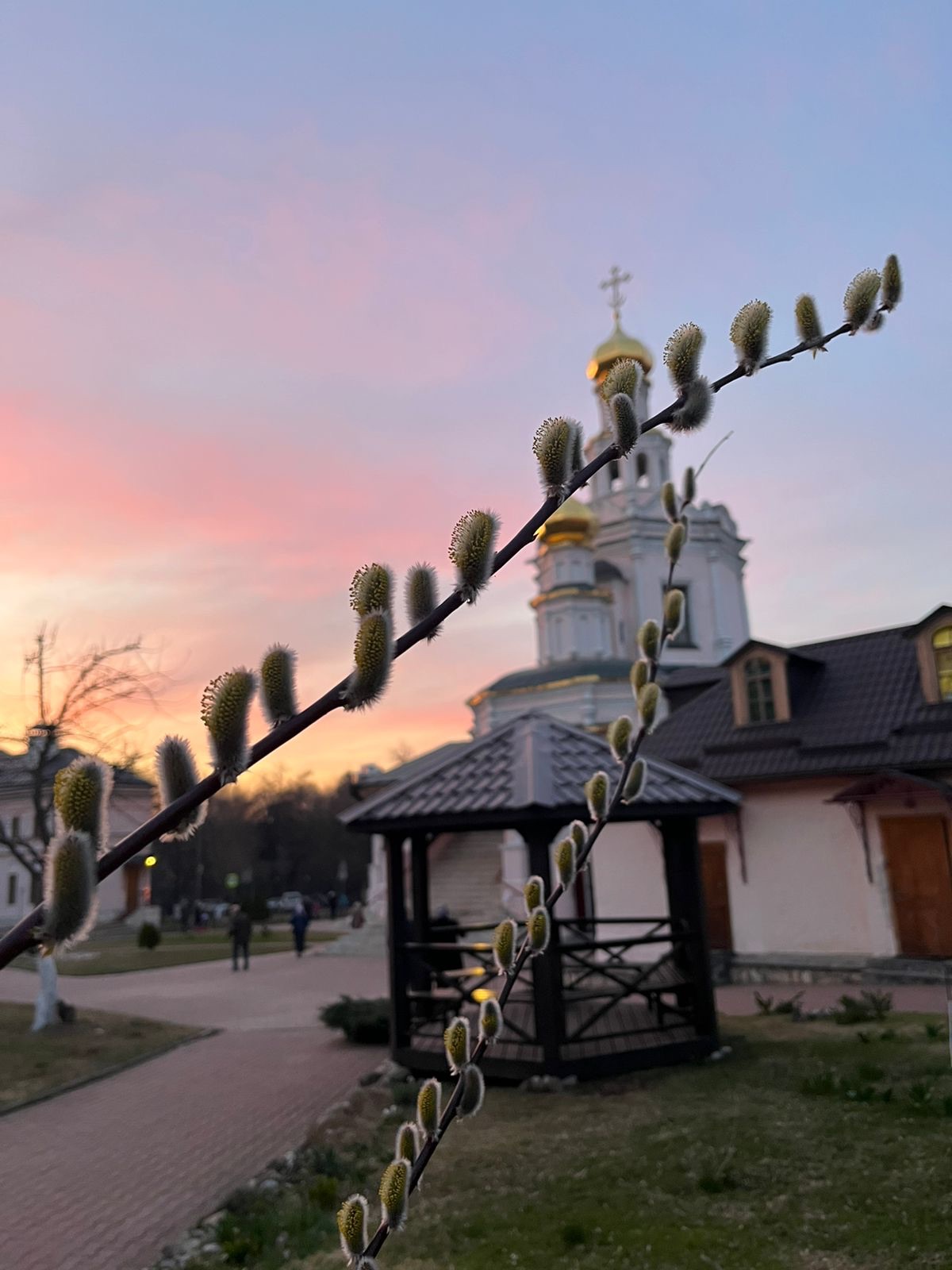 «Темже и мы, яко отроцы победы знамения носяще, Тебе победителю смерти вопием: осанна в вышних, благословен Грядый во имя Господне»: приходская семья храма святых Бориса и Глеба в Зюзине встретила Вербное воскресенье.